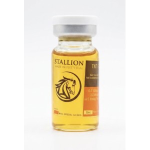 Stallion TNT 450