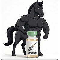 Stallion